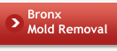 Bronx Mold Removal