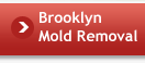 Brooklyn Mold Removal