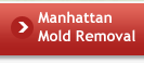 Manhattan Mold Removal