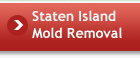 Staten Island Mold Removal